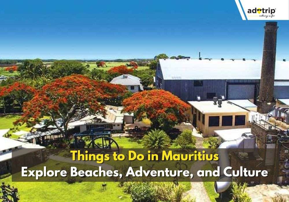 Best Things To Do In Mauritius